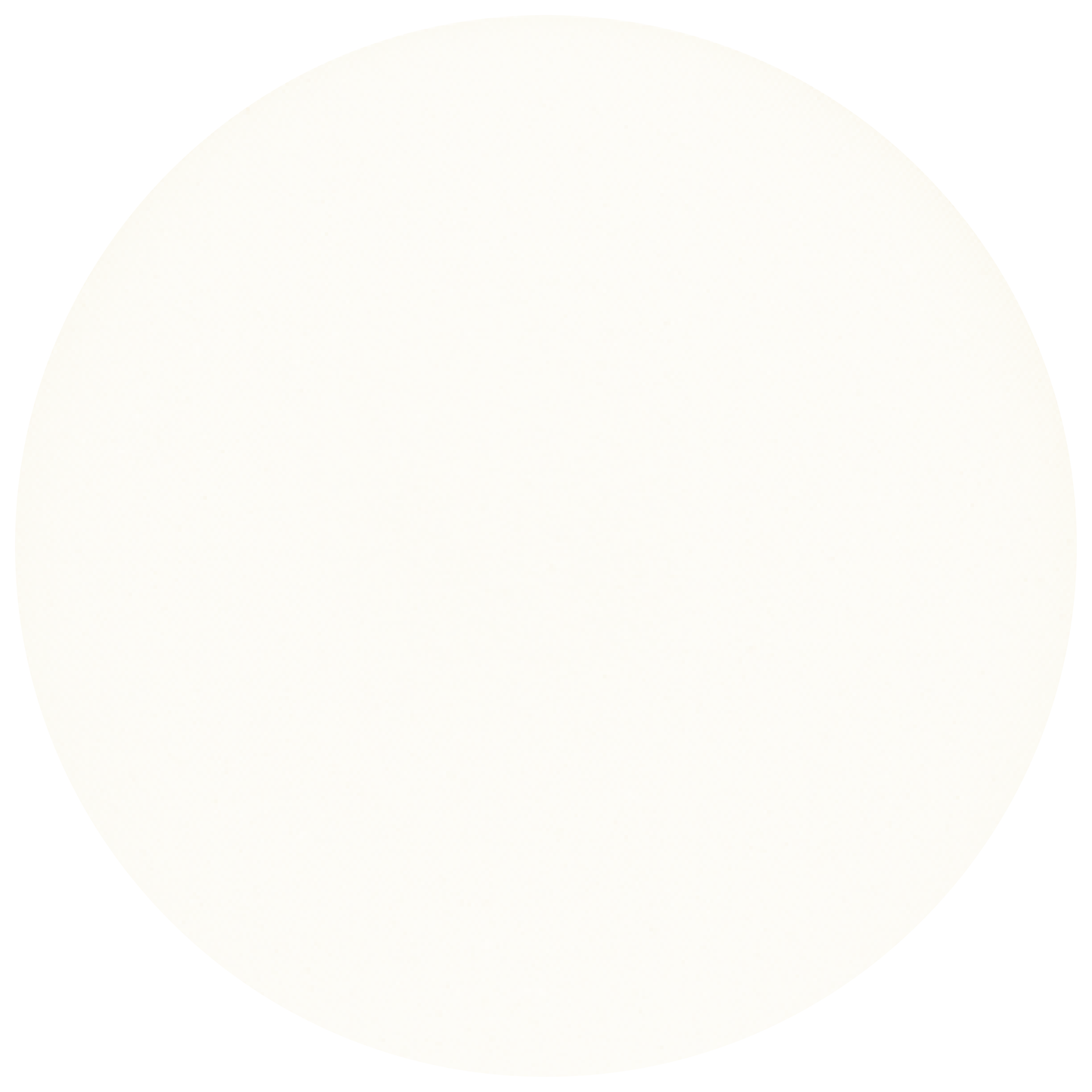 BEAUTY FILTER TOUCH FIXING POWDER