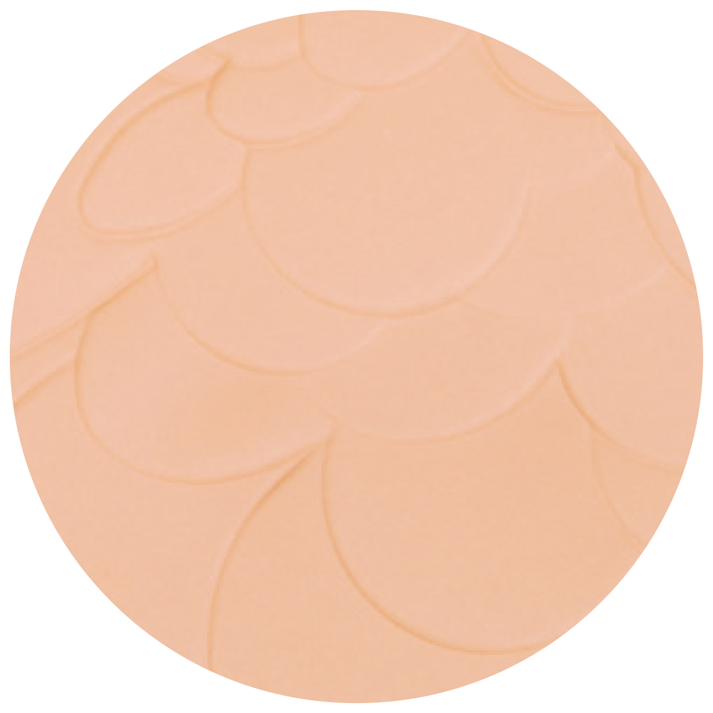 ADVANCED COMPACT POWDER