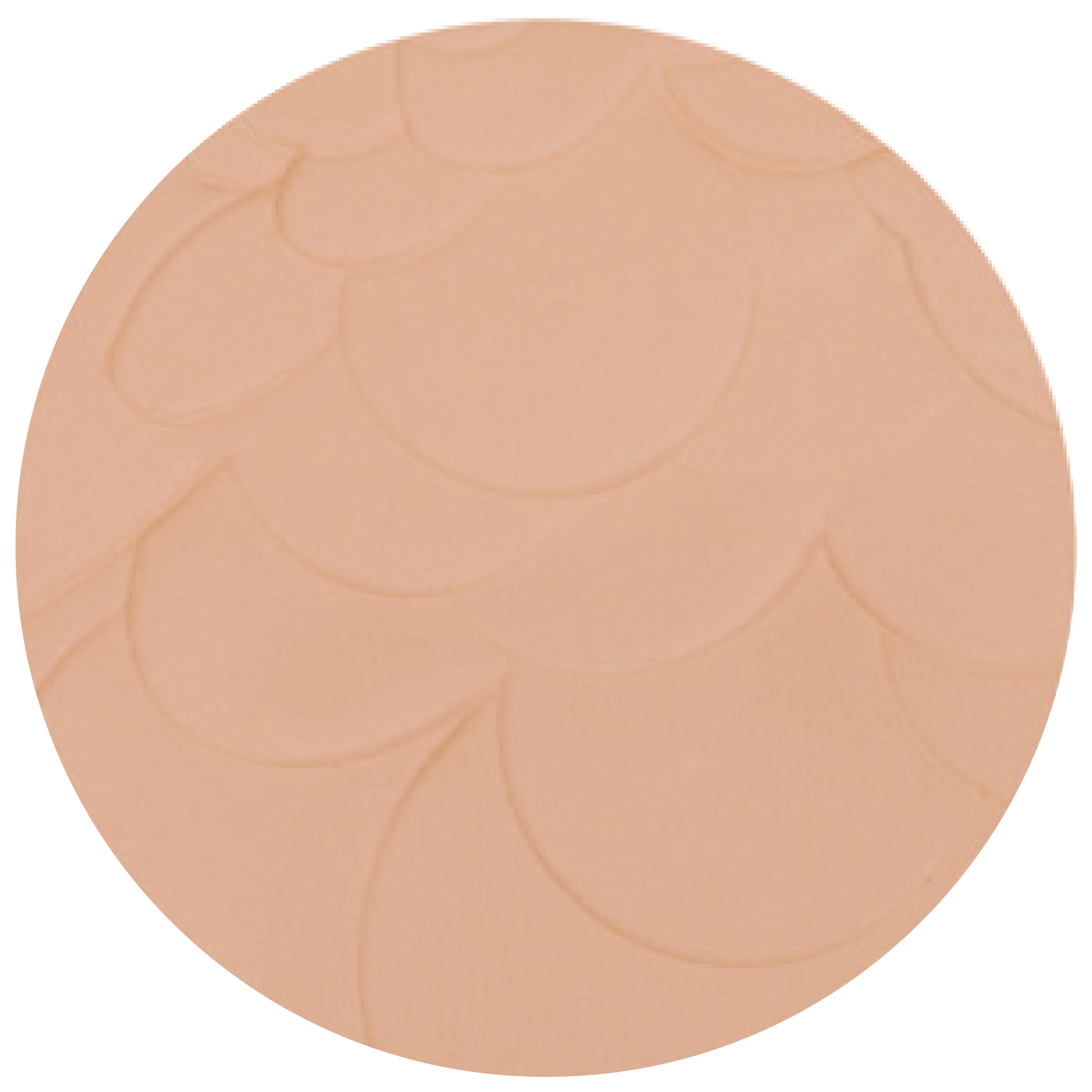 ADVANCED COMPACT POWDER