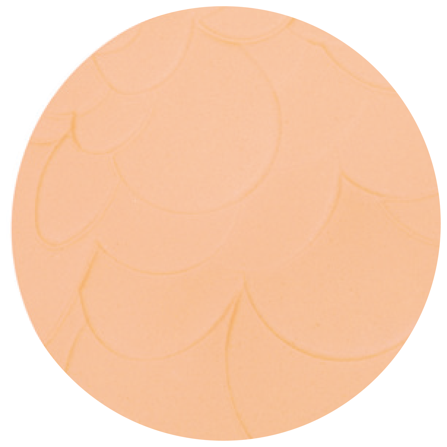 ADVANCED COMPACT POWDER